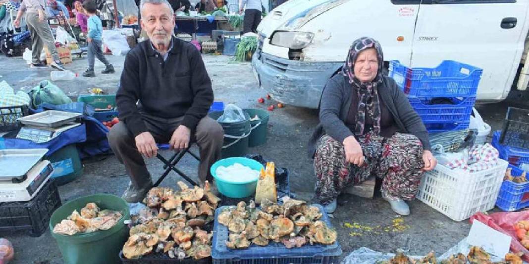 Yağmurun bereketi resmen fışkırdı! Ormanlar doldu, tezgahlar süslendi: 400’den 100 TL’ye düşen fiyat güldürdü 1